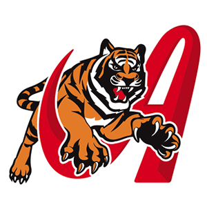 tigres