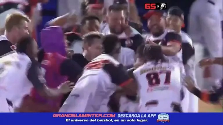 photo_2025-11-18_00-26-29