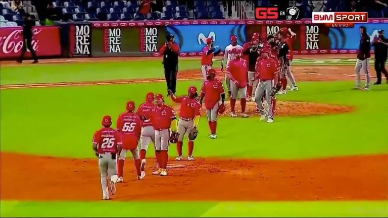 photo_2025-11-19_00-12-14