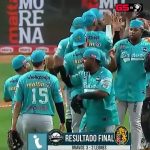 photo_2025-12-15_23-35-08