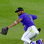 Elegante-atrapada-lanzandose-de-Willi-Castro-2004