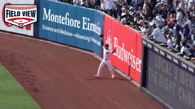 Field-View-increible-atrapada-de-Cody-Bellinger-0