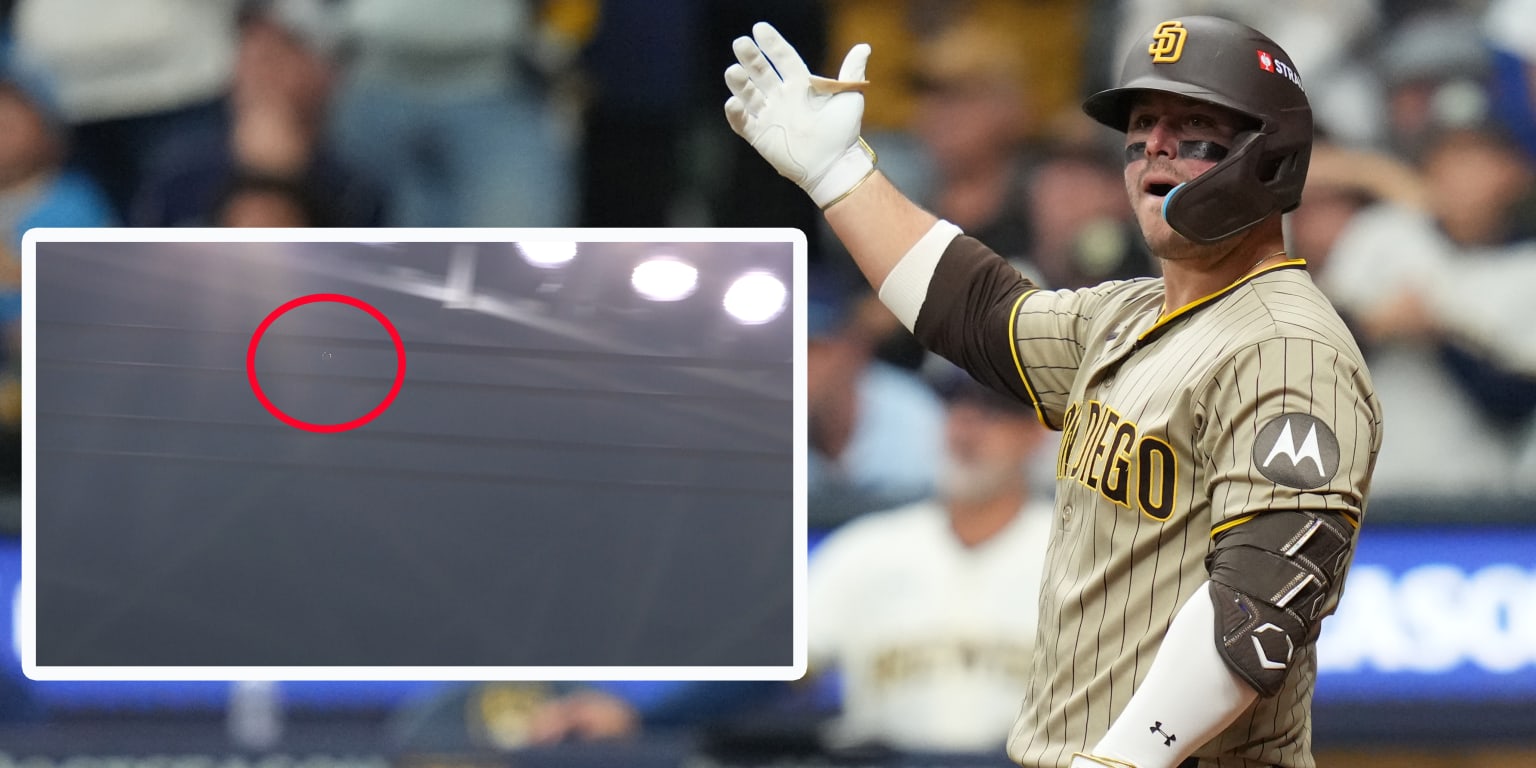 noticia-mlb-Elevado-de-France-pega-en-un-cable-y-termina-en-in-1